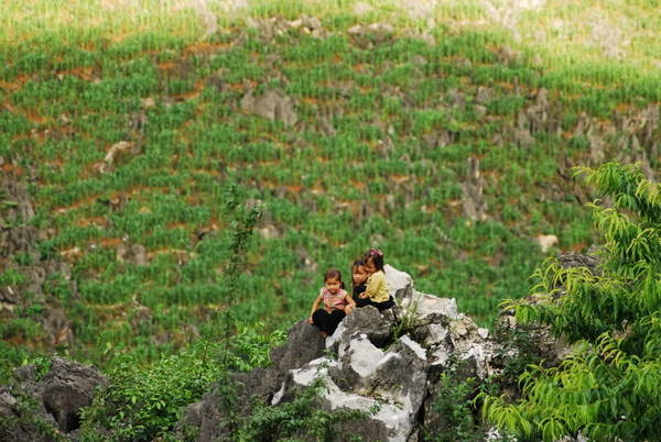 Những em bé đang chơi đùa trên đá tại Sa Pa. 