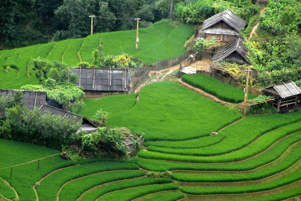 Khung cảnh yên bình của bản Cát Cát. 