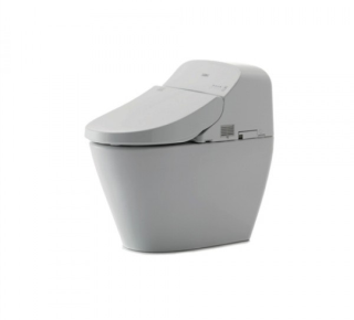 Bàn cầu kèm nắp rửa điện tử Washlet TOTO C971 / TCF9433A