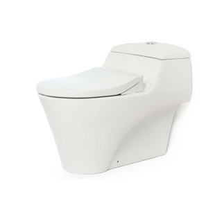 Bàn cầu kèm nắp rửa Eco-Washer TOTO CW823NW/FE2