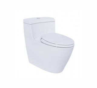 Bàn cầu một khối TOTO MS636DT2