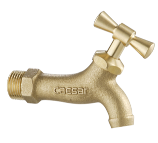 Vòi rửa gắn tường Caesar W034