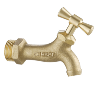Vòi rửa gắn tường Caesar W035