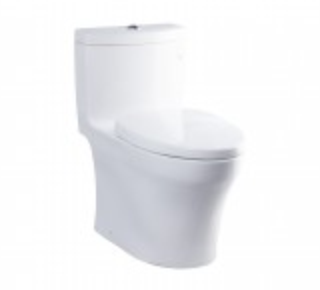 Bàn cầu 1 khối cao cấp TOTO MS889DRT3