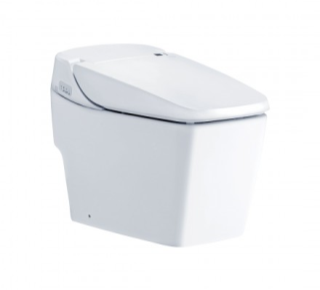 Bàn cầu 1 khối nắp rửa điện tử COTTO C10227