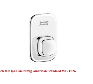 Củ sen tắm lạnh American Standard WF-T826
