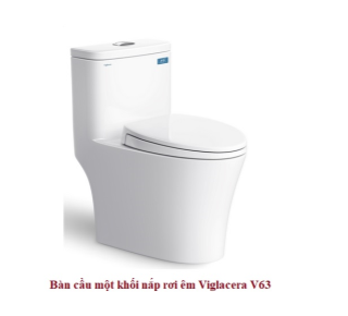 Bàn cầu 1 khối Viglacera V63