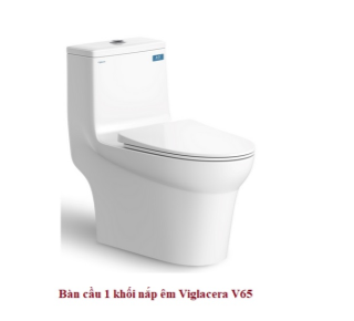 Bàn cầu 1 khối xả nhấn Viglacera V65