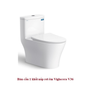 Bàn cầu liền khối Viglacera V36