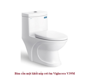 Bồn cầu liền khối xả phun mưa Viglacera V39