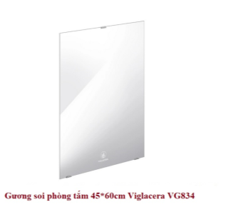 Gương soi phòng tắm 400*650*5mm Viglacera VG834