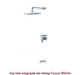 Sen tắm đứng âm tường nóng lạnh Caesar BS644