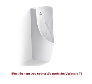 Bồn tiểu nam treo tường cấp nước âm Viglacera T6