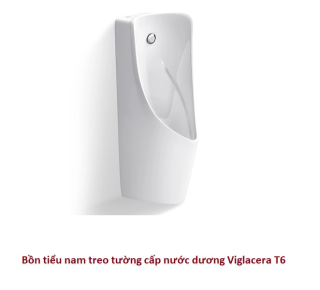 Bồn tiểu nam treo tường cấp nước dương Viglacera T6