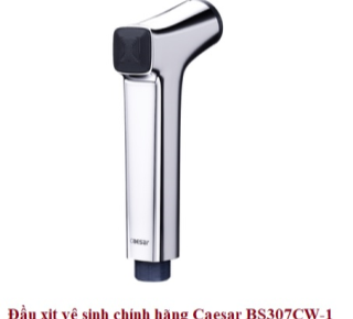 Đầu xịt vệ sinh mạ Crome CAESAR BS307CW-1