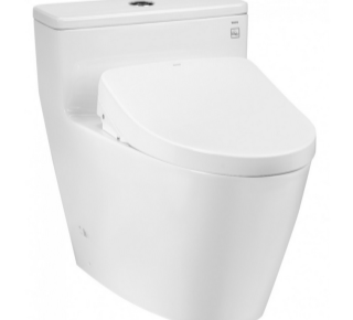 Bồn Cầu Điện Tử Nắp Washlet Giấu Dây C7 chính hãng TOTO MS625CDW12