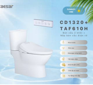 Bàn Cầu một khối + Nắp rửa điện tử Caesar C1320F + TAF610H