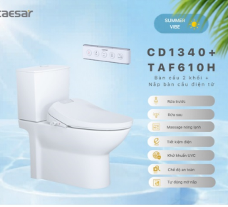 Bàn Cầu một khối + Nắp rửa điện tử Caesar C1340F + TAF610H