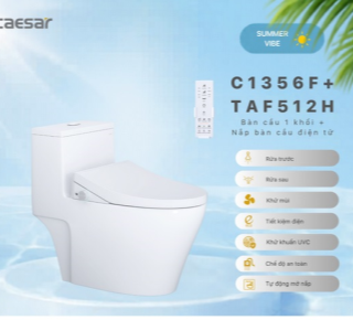 Bàn Cầu một khối + Nắp rửa điện tử Caesar C1356F + TAF512H