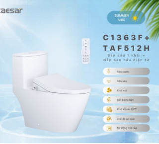 Bàn Cầu một khối + Nắp rửa điện tử Caesar C1363F + TAF512H