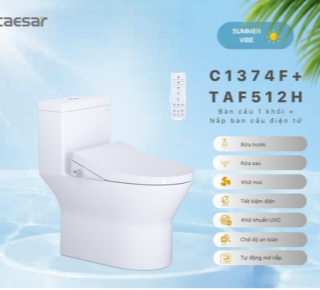Bàn Cầu một khối + Nắp rửa điện tử Caesar C1374F + TAF512H