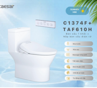 Bàn Cầu một khối + Nắp rửa điện tử Caesar C1374F + TAF610H