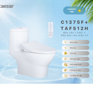 Bàn Cầu một khối + Nắp rửa điện tử Caesar C1375F + TAF512H
