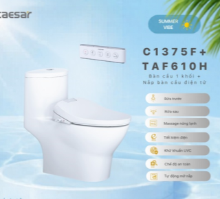 Bàn Cầu một khối + Nắp rửa điện tử Caesar C1375F + TAF610H