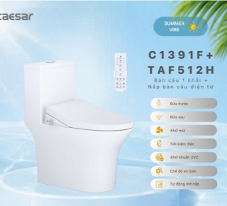 Bàn Cầu một khối + Nắp rửa điện tử Caesar C1391F + TAF512H
