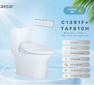 Bàn Cầu một khối + Nắp rửa điện tử Caesar C1391F + TAF610H