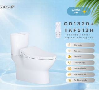 Bàn Cầu một khối + Nắp rửa điện tử Caesar CD1320F + TAF512H
