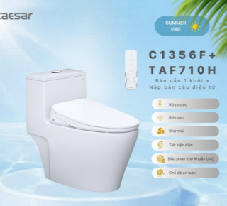 Bàn cầu một khối kết hợp nắp rửa điện tử Caesar C1363F+TAF710H