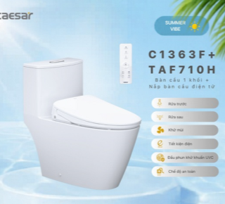 Bàn cầu một khối kết hợp nắp rửa điện tử Caesar C1363F+TAF710H
